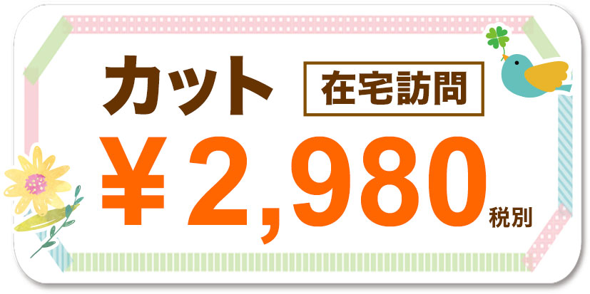 カット(在宅訪問)2980円